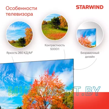Телевизор StarWind SW-LED50UG403 картинка 5